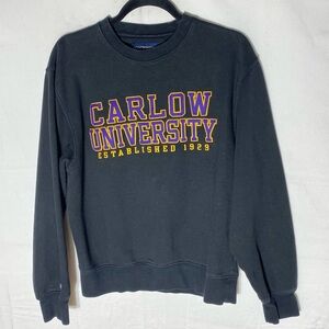 Vintage Jansport Black Purple Carlow University Academic Crewneck Sweatshirt S